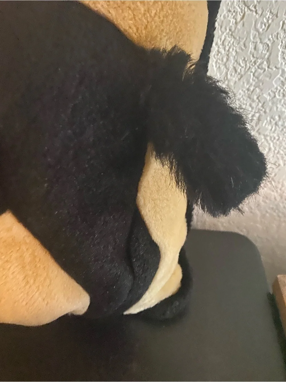 Horse Appliqué Equestrian 3D   Tan Black Trim Plush 14x12 Western Throw Pillow